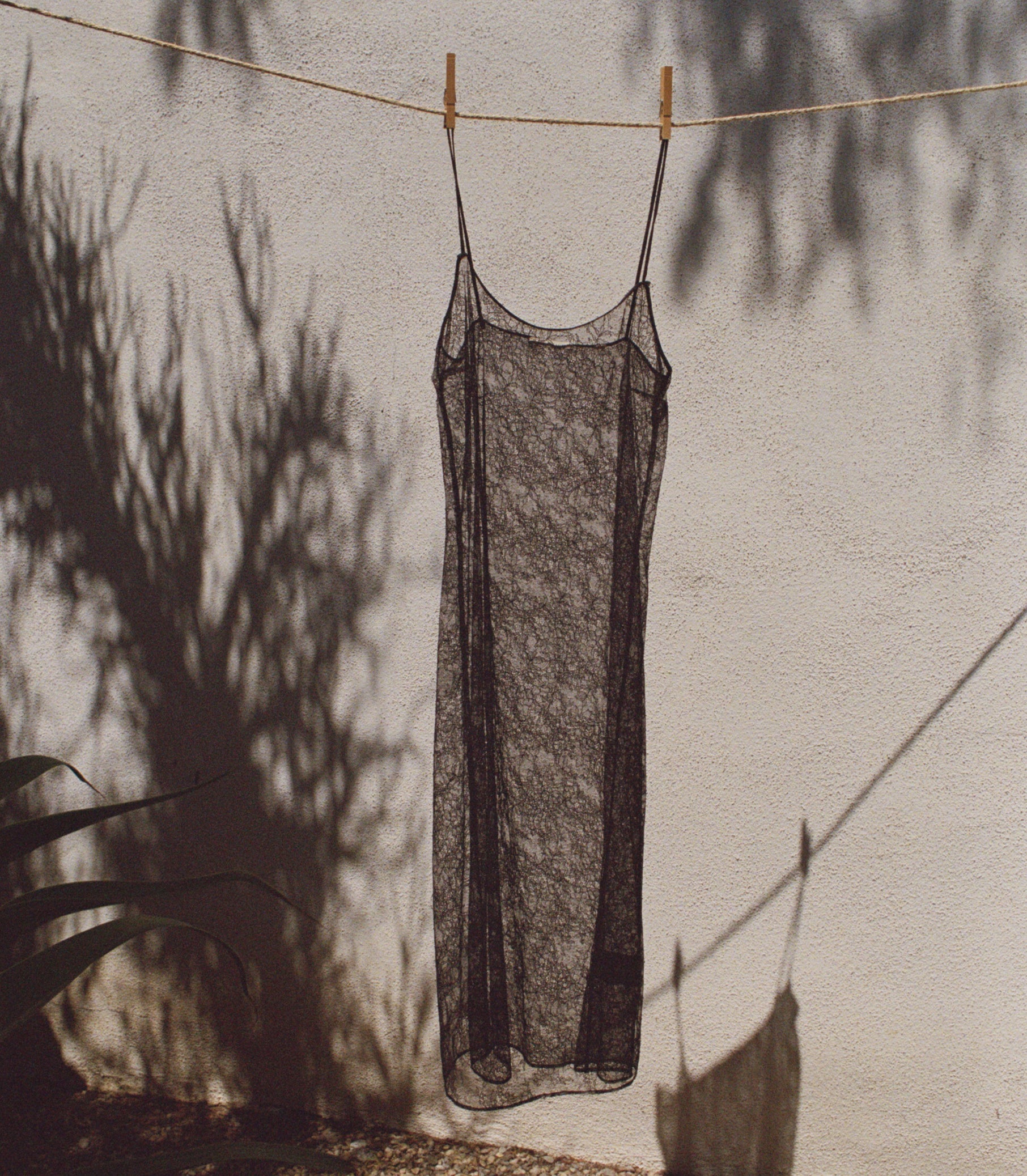 A sheer black lace slip dress hanging from a rope clothesline with wooden clothespins against a textured off-white wall, with strong tree shadows cast across it. 1
