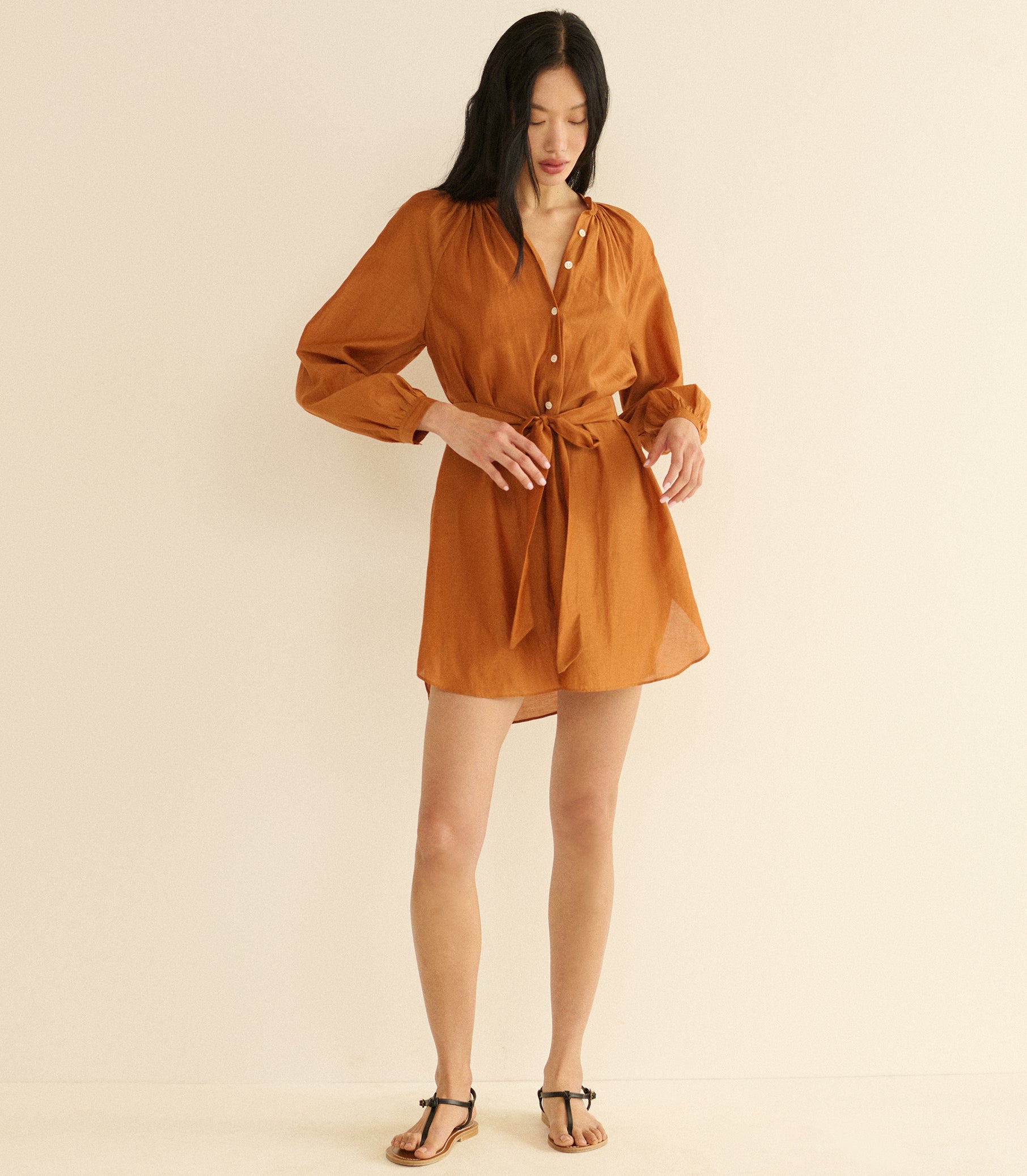 Woman wearing a brown dress on a beige background 1
