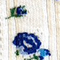 BLUE SWEETPEA
