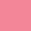 CARNATION