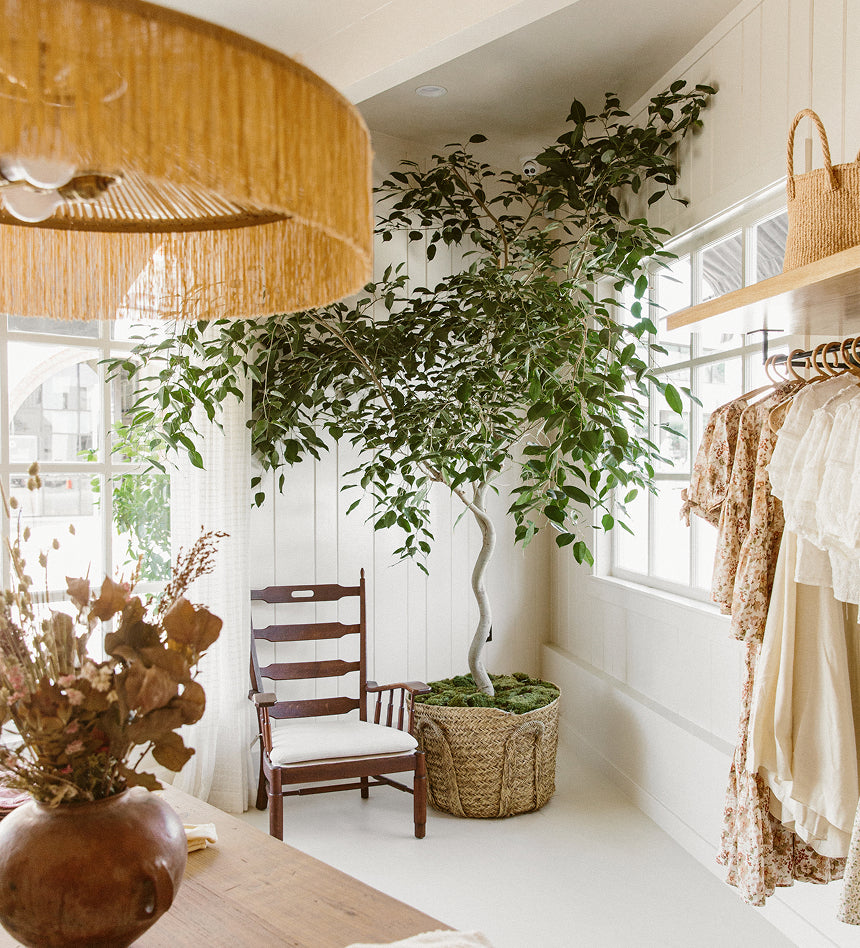 Visit the Brentwood Country Mart store details page