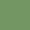 LIGHT KELLY GREEN