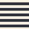 NAVY NANTUCKET STRIPE