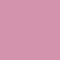 ROSE BLOOM